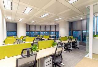 恩平海参冻干粉