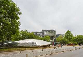 九堡植物出租价格